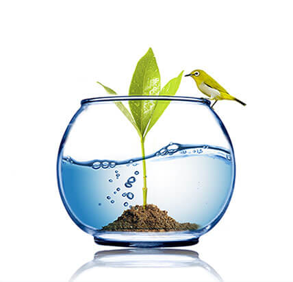 aquamag מערכת טיהור מים ומסנני מים המעשירים את המים במגנזיום